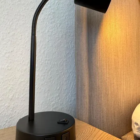 Modernes Seeblick Mit Sauna Und Poolnutzung Daire *